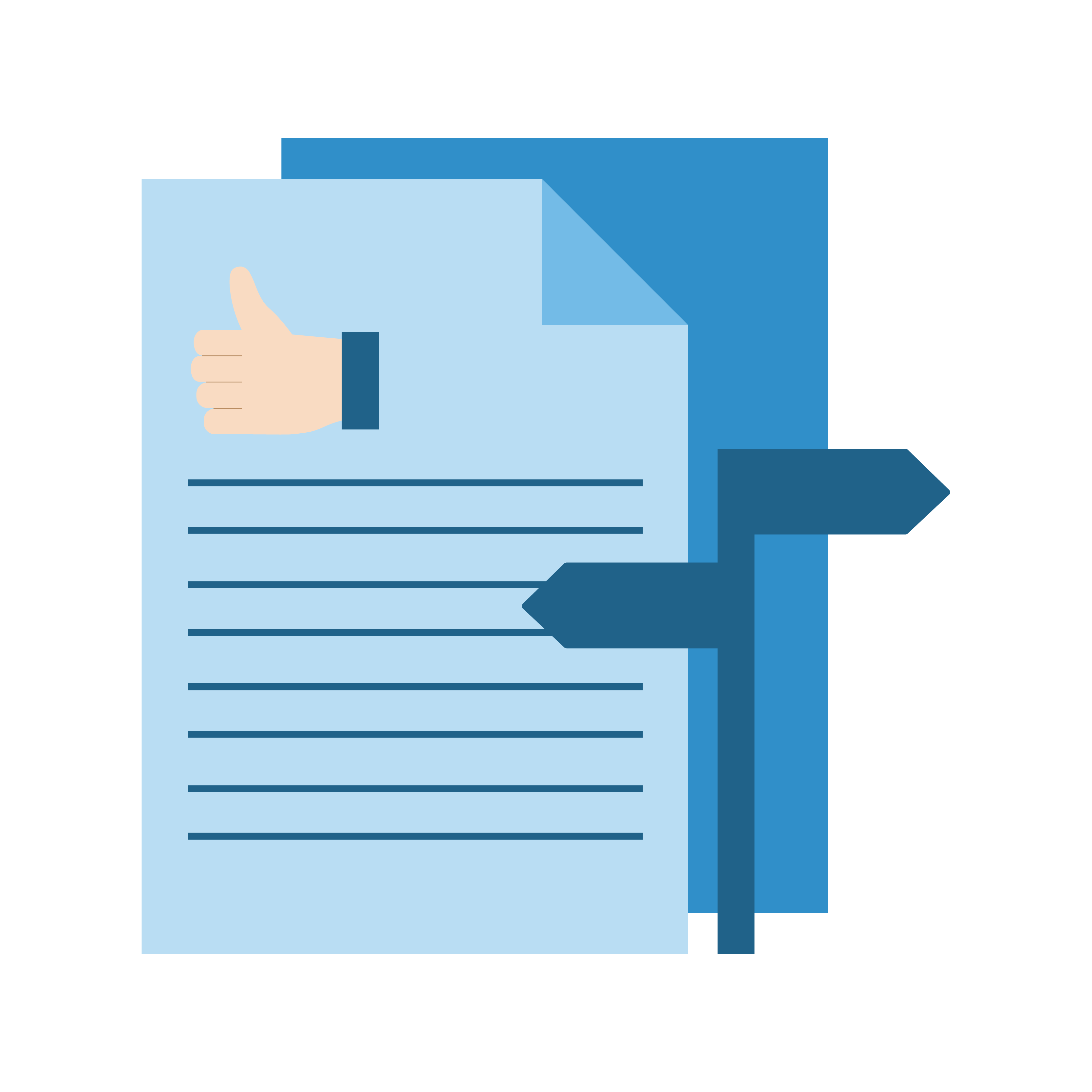 Icon Leitlinien
