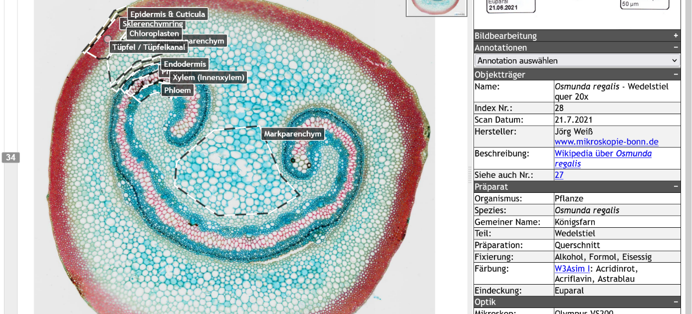 UDE BIOSLiDES Viewer