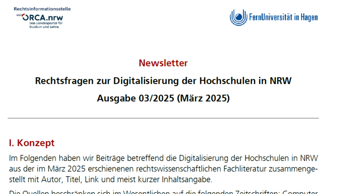 RiS-Newsletter 03/25